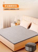 冬日居家幸福感指南：恩博力“质净 质纯 质予爱”守护每一刻温暖时光