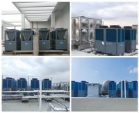 阳帆叶萍：做健康企业，让用户满意