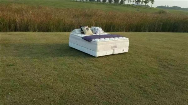 浴火而生,大国匠心:睡莲家居的品牌升级与时代答卷