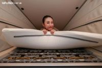 Lattoflex乐德飞翼携手奔驰露营车亮相2025广州设计周户外嗜好节