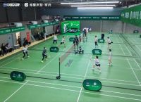 羽动杭城，好眠护航！2025 雅兰杯羽毛球公开赛杭州站圆满落幕