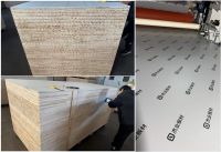 破解定制家居门板痛点 杰业特级新杉木实心SPC+PET门板重磅来袭