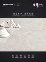 粤强宗师M9·石光流金｜理想生活的底色，从此处铺陈