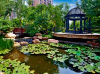 湖园有信，花木为笺｜太原星河湾，写就一册归心诗篇