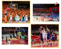 拼搏铸荣光 坚守写传奇|兔宝宝致敬浙BA湖州队，致敬每一份全力以赴