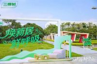 三棵树内墙涂装领创健康新高度！以“产品+服务”深化“好房子”价值
