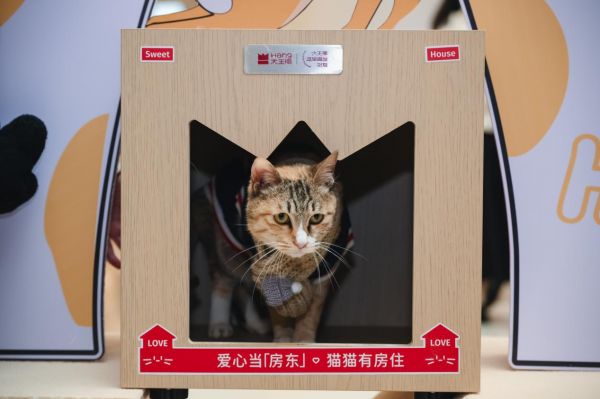 0fdd20ffc6a55c7a19c8713c0813444e