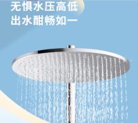 科勒淋浴花洒：美学与功能的双重革新