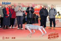 第29届四川年货节启幕 海尔天悦套系重磅登场，解锁银发AI智慧康养新体验