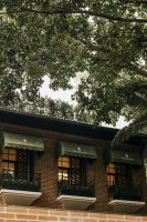 绿洲中央的红房子：CCD与图森编织的现代生活诗篇