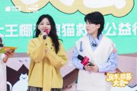 一份温暖的公益“年货”：解读大王椰“温暖喵屋计划”的IP化生存之道