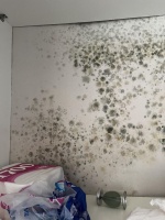 儿童级健康腻子创导者，卓玛解锁「健康家居」新定义