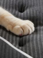 选垫不踩雷！4大朝向9款床垫实测，全体重适配，透气耐用更省心