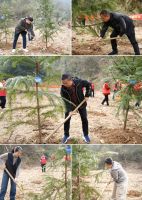 植此青绿 万象更新—— 2026万象板材植树节绿色行动圆满举行