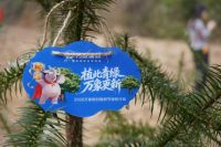 植此青绿 万象更新—— 2026万象板材植树节绿色行动圆满举行