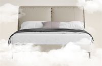 温暖抱抱共护同栖，舒达助力大熊猫栖息地守护巡护与环境恢复