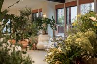 春日绿洲 · 意式序曲：在都市一隅，与Baxter共赴一场春日叙事