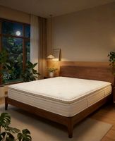 2026 单款床垫甄选：拒绝参数迷阵，小白也能一眼挑对好眠伴侣