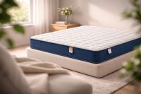 柯芙特亮相上海展，3月两次亮相国内大型展会