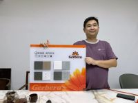 高州十大装饰公司联合标配非洲菊开关：匠心筑家，细节见品质
