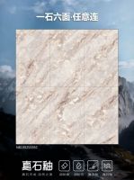 藏地脉之美，筑质感人居 | 真石釉新品地脉岩