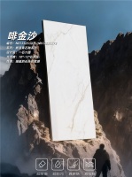 把自然奢雅搬进家｜真石釉新品啡金沙