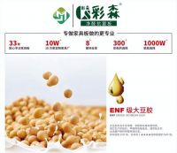 匠心筑品 生态领航：彩森板材荣膺 2026 中品榜 “生态板十大品牌”