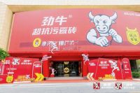 打造双冠王·抢占新风口——碧虎集团三箭齐发，全面开启功能瓷砖双赛道新时代