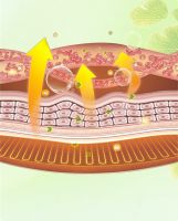 富华名创集团发布亿吻“草本共振”睡眠新方案，引领健康睡眠科技新趋势