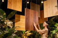 花木匠国民健康饰面板：把健康的选择权，还给每一个国民