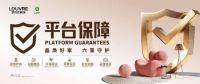 佛山选家具指南罗浮宫国际家居博览中心为何是首选