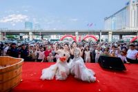 万家丽夏季建材家具博览会隆重启幕，绿色中国行推广大使小龙鼠倾情助阵