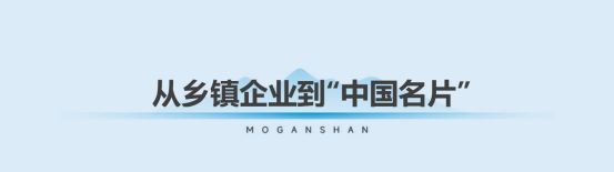 一张板的“国奖之路”：莫干山以植物源科技之力，推动行业不断向上
