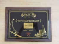 量化“品牌质地”：从“湾区之光”评选标准，看箭牌商标背后的硬核资产