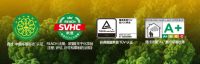 装修无尘主义：跨越技术难关，只为还你洁净家居