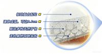 打破外墙多层桎梏，西卡M砂浆定义高端外墙新标杆！