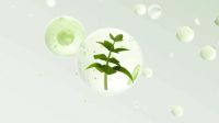 兔宝宝香氛抑菌板，将情绪疗愈写入健康家居标准