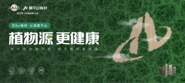 植物源技术新突破｜云峰莫干山解锁茶多酚抗菌板材绿色新方案