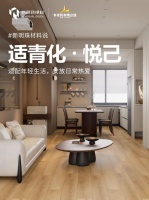 新明珠绿材×家居案例 | 适青化居所，解锁当代年轻人生活样本