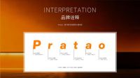邓浚文谈Pratao普拉陶柔光砖品牌定位