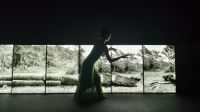 Livewellwell设计周末专题展厅千树揭幕 2026设计地图开启上海全城漫游