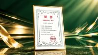 标准输出·创新驱动｜云峰莫干山参与第十一届世界人造板大会，共探行业新趋势
