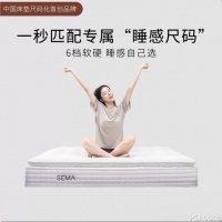 床垫加盟品牌选购指南：标准化睡码工具与门店成交全系解读