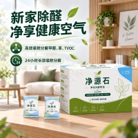 无光环境除甲醛方案：五款不依赖光照的除醛产品技术特点全解析