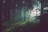 Liebherr首次荣获EcoVadis铂金奖章，以企业责任书写可持续发展新篇章