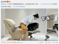 春日躺赢进行时，功能沙发鼻祖LAZBOY如何有范突围？
