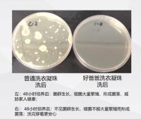 洗衣凝珠哪个牌子好？这款酵素洗衣凝珠为你解决洗衣困扰