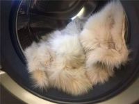 海尔洗衣机空气洗是什么 洗衣机的空气洗可以去污吗