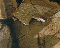 实木地板容易开裂吗？二十年老地板人帮你分析