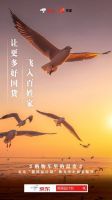 “国货后浪”要如何变巨浪？“新国品计划”定义好国货